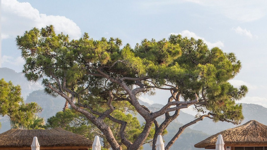 Nirvana Mediterranean Excellence - All Inclusive