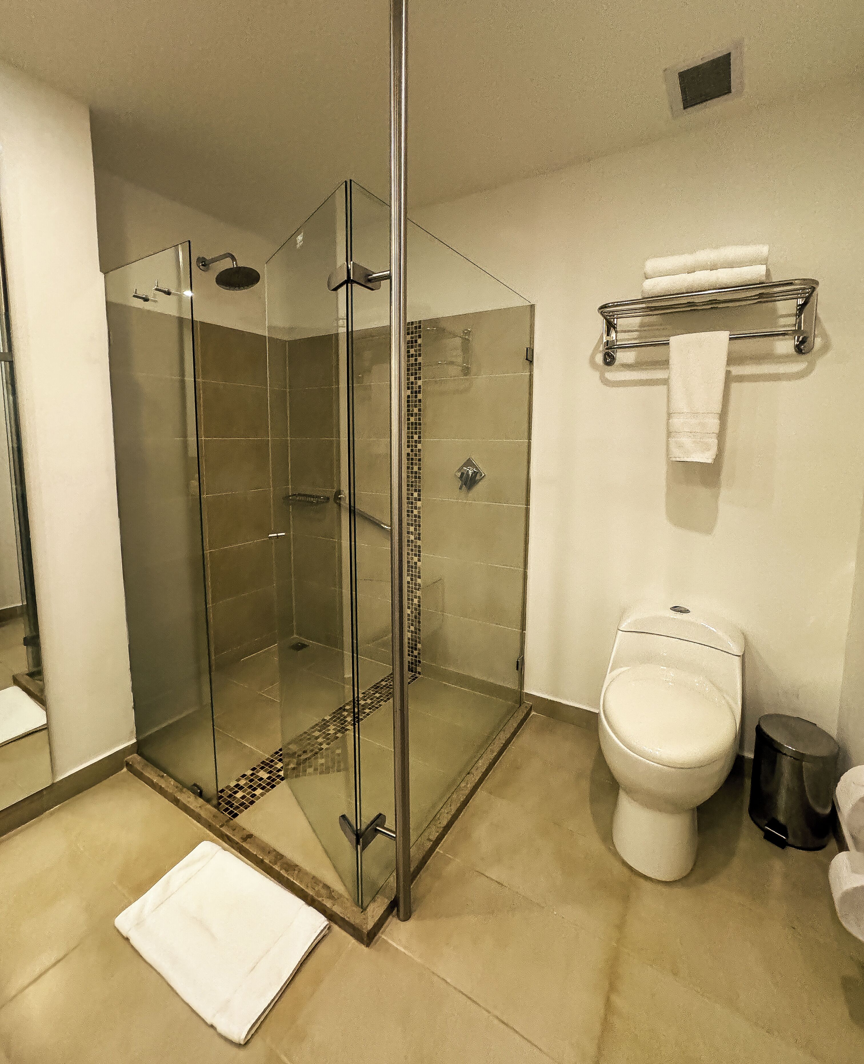 Een badkamer met een douche met glazen wand, een toilet, een prullenbak en een handdoekrek met handdoeken.