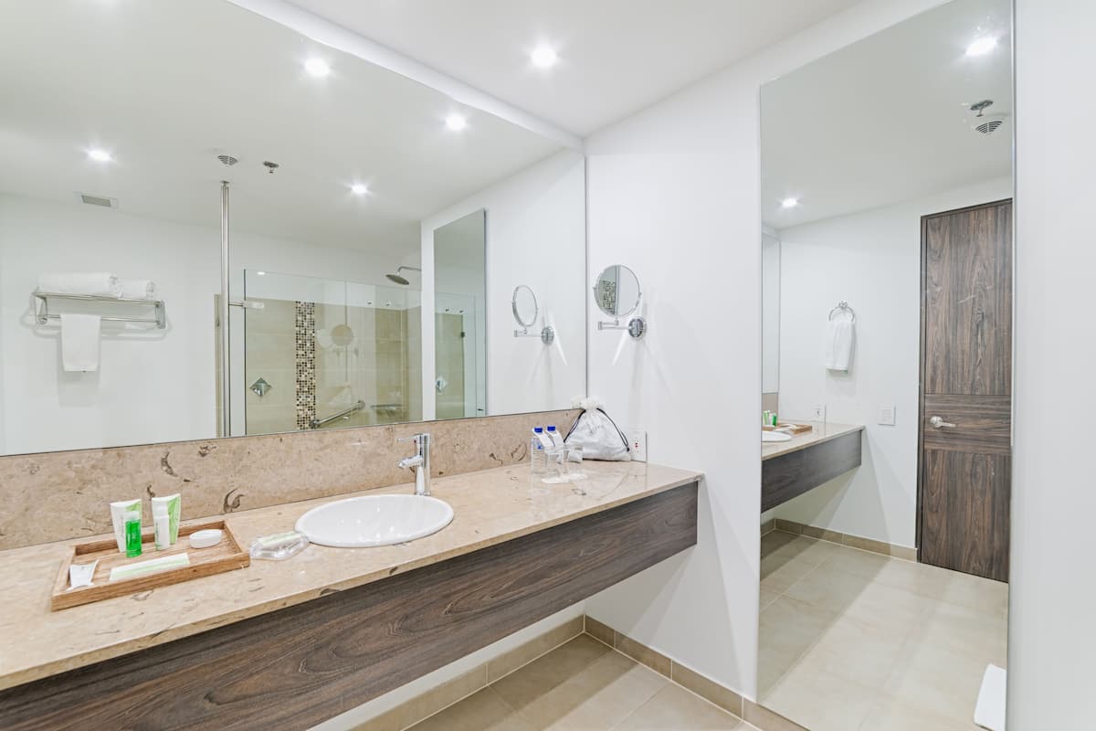 shower, free toiletries, hair dryer, towels