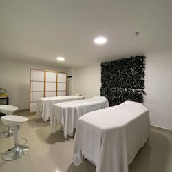 Couples treatment room(s), aromatherapy, hot stone massages