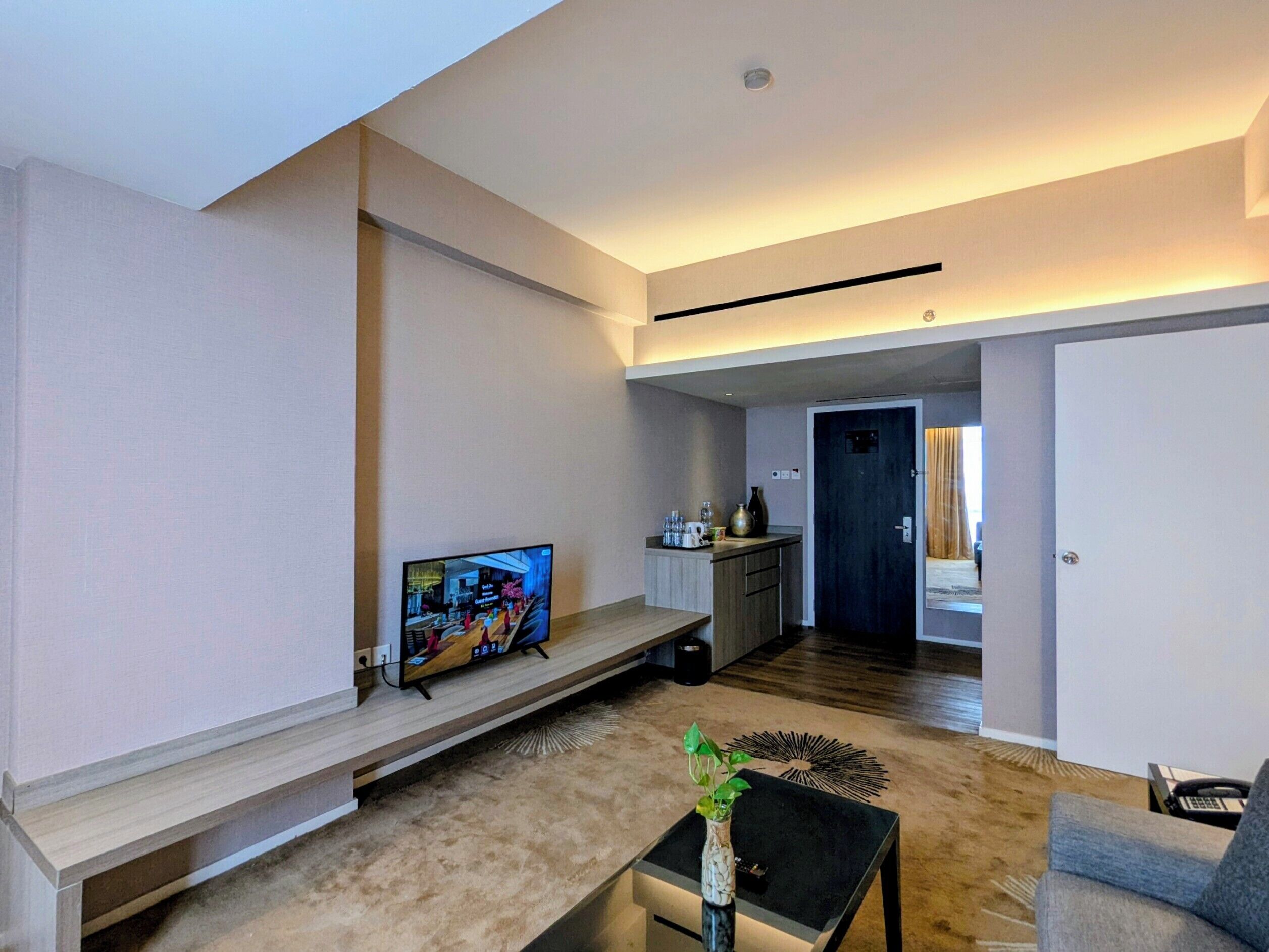 A modern living room with a flat-screen TV, a coffee table with a plant, and a sofa.
