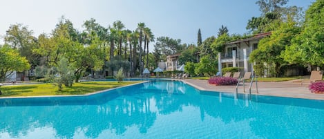 A swimming pool surrounded by greenery and buildings.