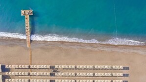 Vista aérea de una playa con un muelle de madera y hileras de sombrillas.