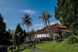 Jardín