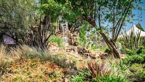 A garden with a waterfall, various plants, and a tent structure. - First Group Qwantani (Maluti a Phofung)