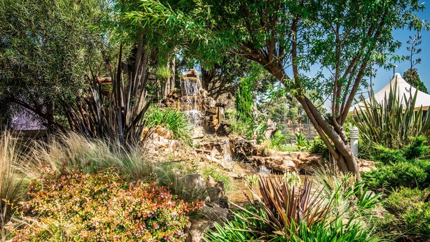 A garden with a waterfall, various plants, and a tent structure. - First Group Qwantani (Maluti a Phofung)