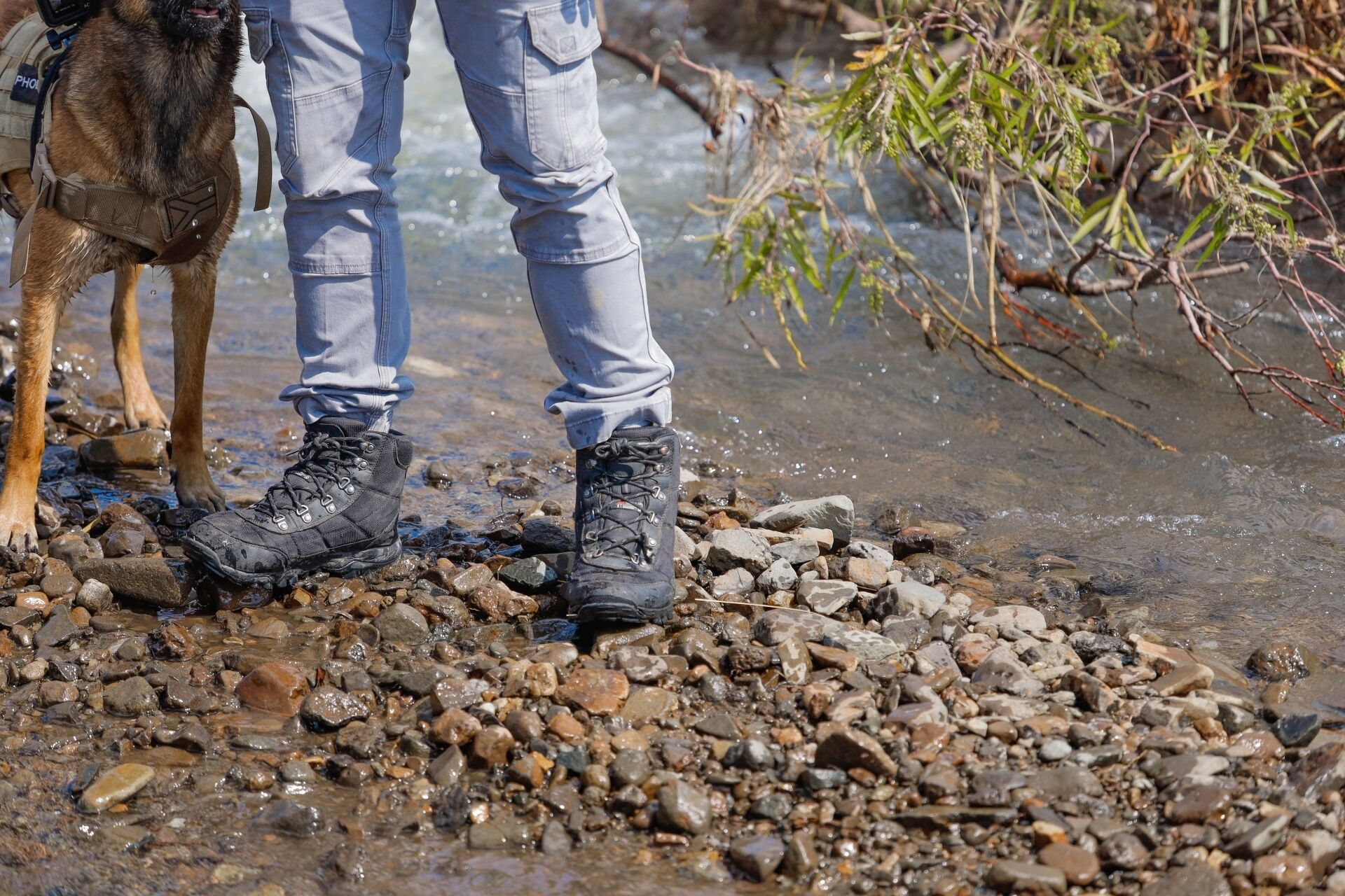 Eine Person steht mit einem Hund im flachen Wasser, trägt Wanderschuhe und Jeans.