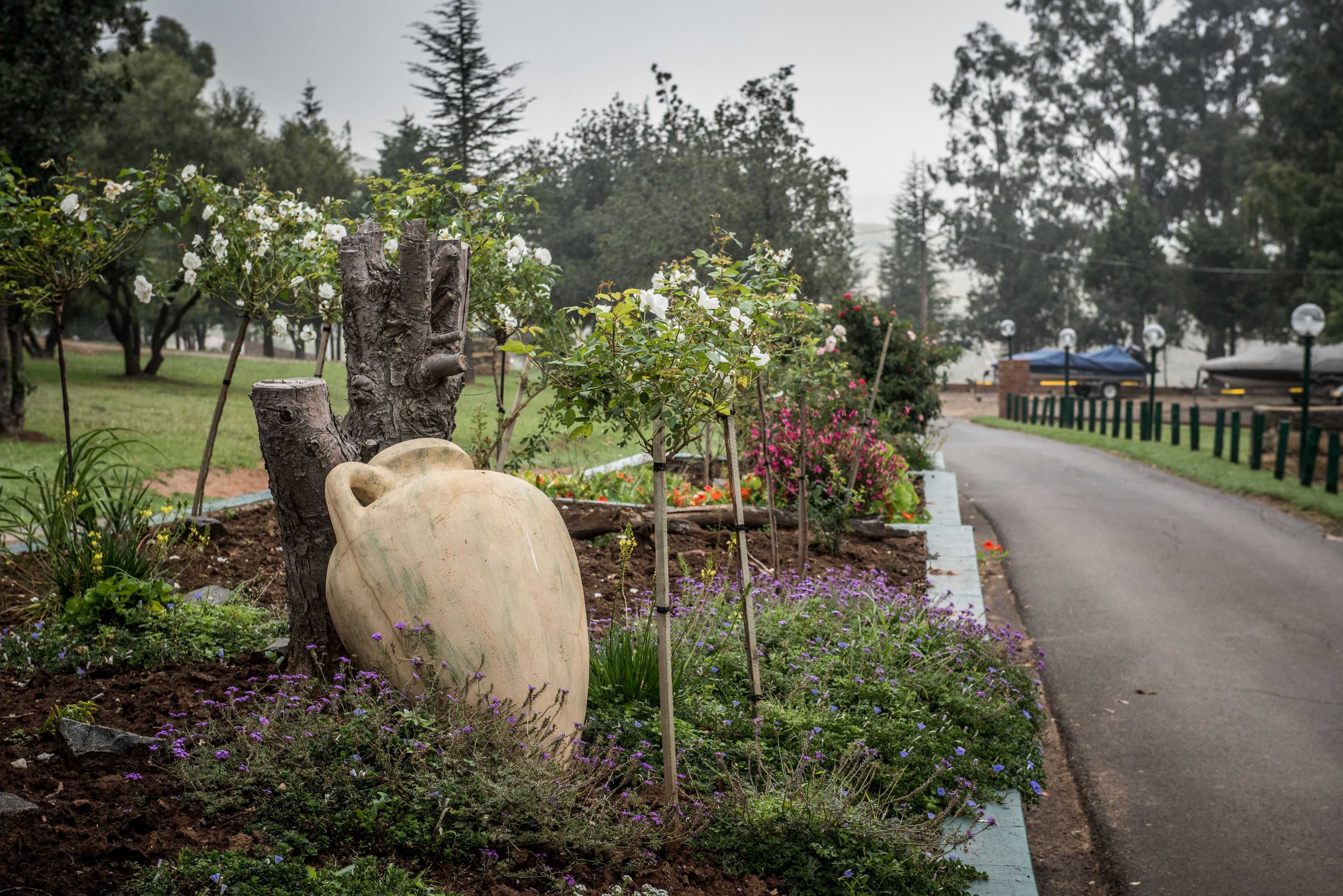 A garden with a large vase, various plants, and a pathway.