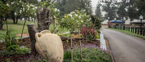 A garden with a large vase, various plants, and a pathway.