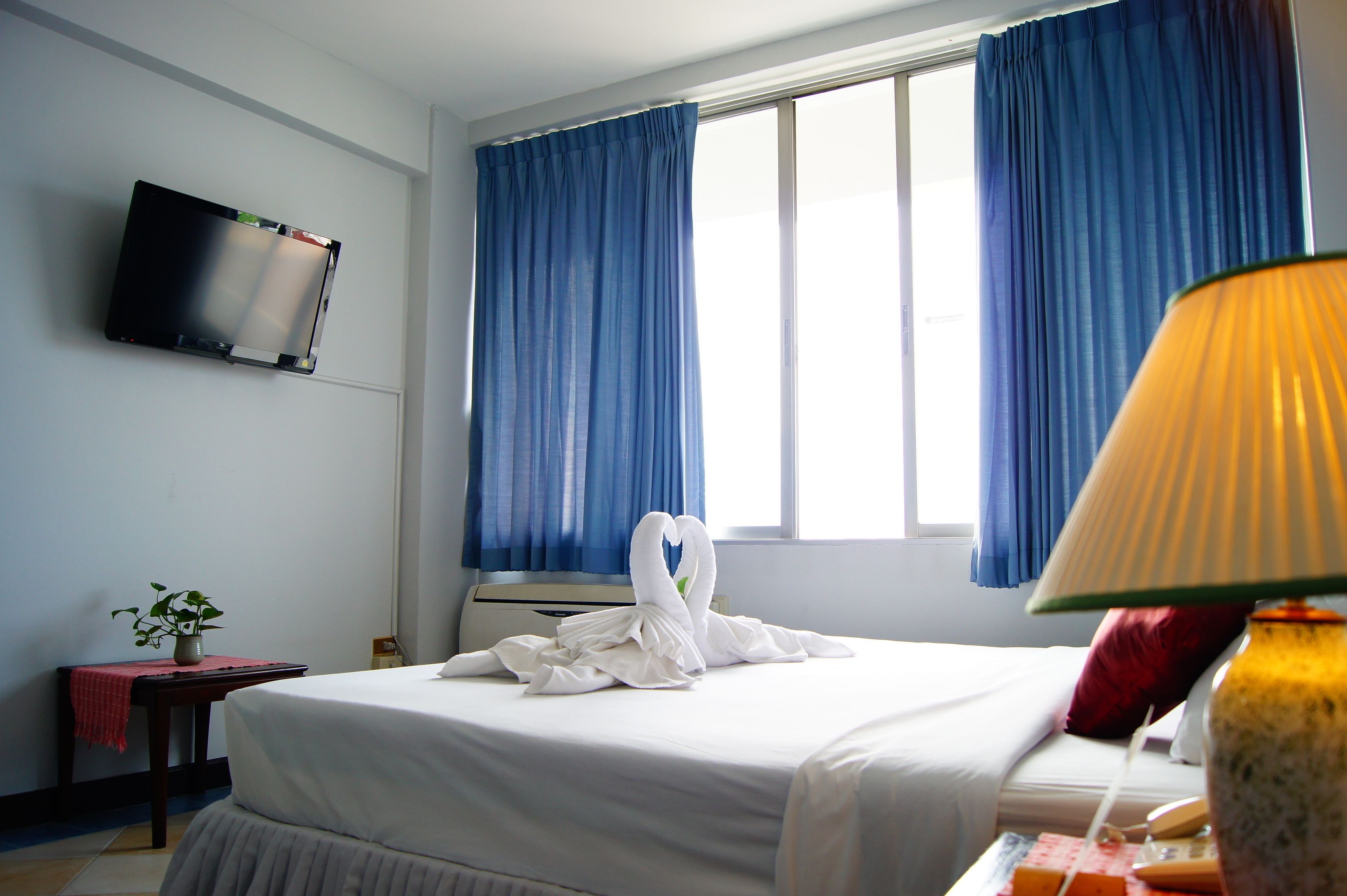 Habitación de hotel con una cama, un televisor montado en la pared, una ventana con cortinas azules, una mesita de noche con una lámpara y una planta.