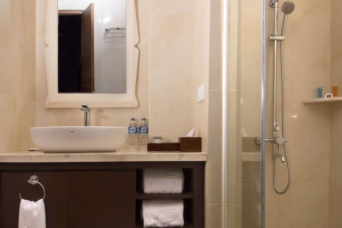 shower, rainfall showerhead, free toiletries, hair dryer