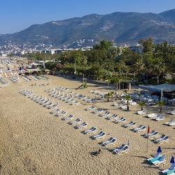 Plage, chaises longues, parasols, bar de plage