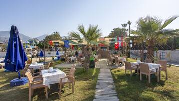 Bar de plage
