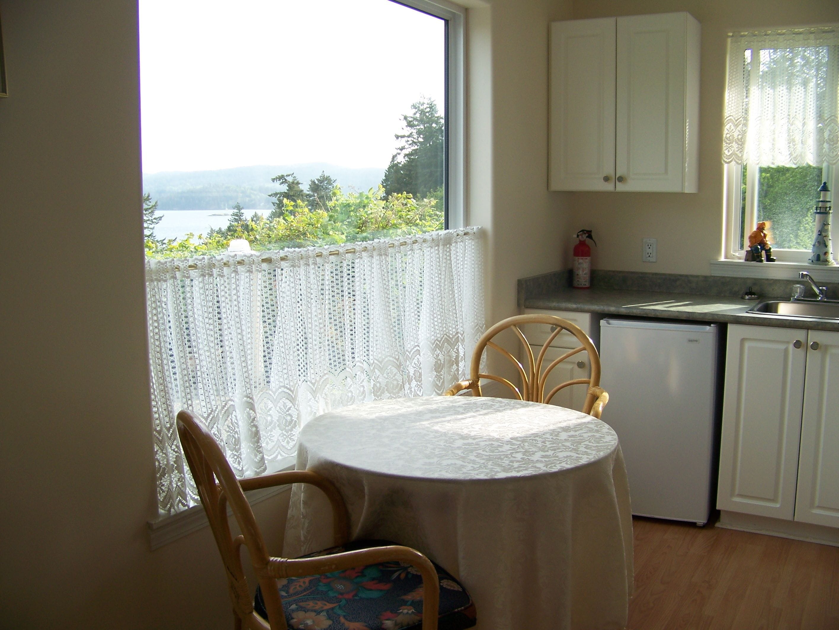 Panoramic Studio Suite, 1 Queen Bed, Kitchenette, Mountain View (Harbour) | Private kitchenette | Microwave, stovetop, coffee/tea maker, electric kettle