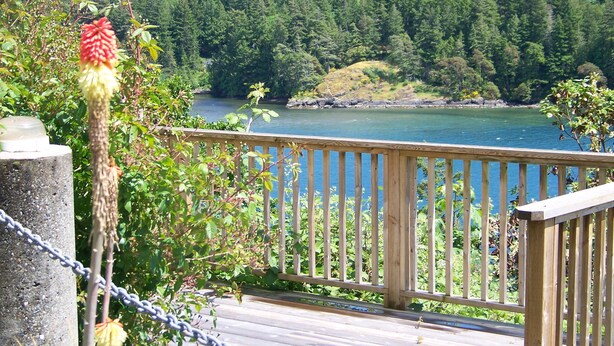 Una terraza de madera con vistas a un lago, con un bosque denso al fondo.