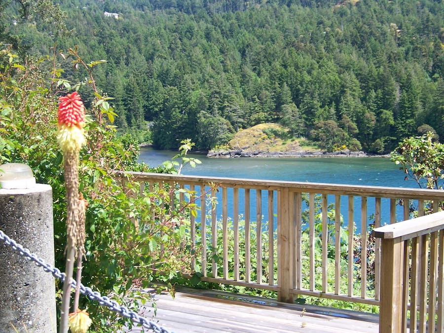 Un pont de fusta amb vista a un llac i un bosc dens al fons.