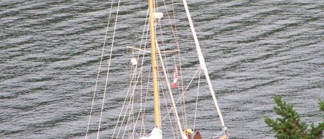Un voilier à mât élevé et doté de nombreuses voiles, ancré dans une eau calme.