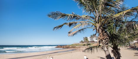 Una spiaggia nelle vicinanze, pesca