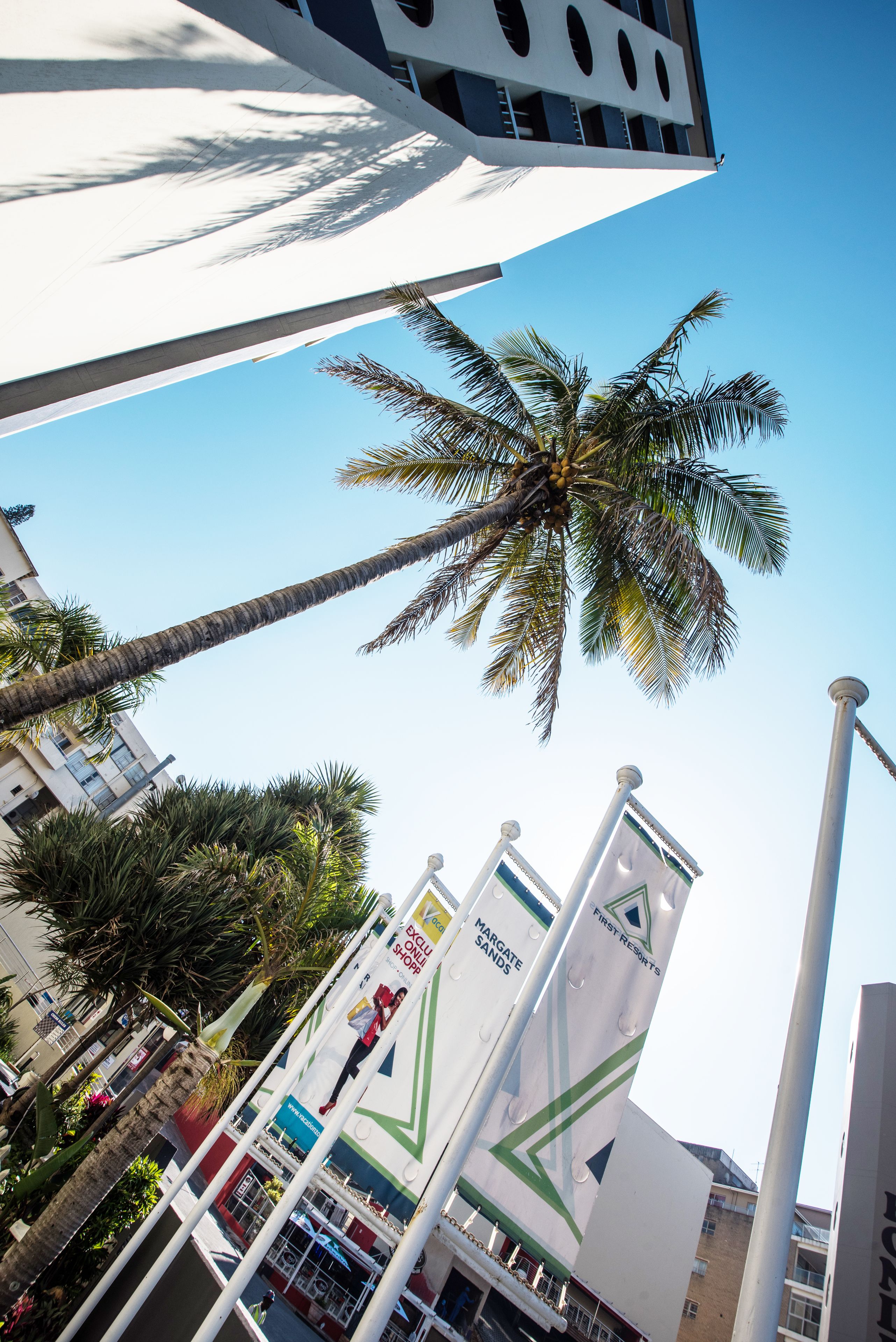 A palm tree, a building with a white facade, and flags with text.