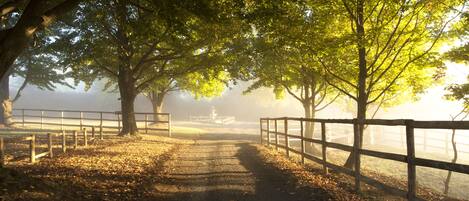 Entrada de la propiedad