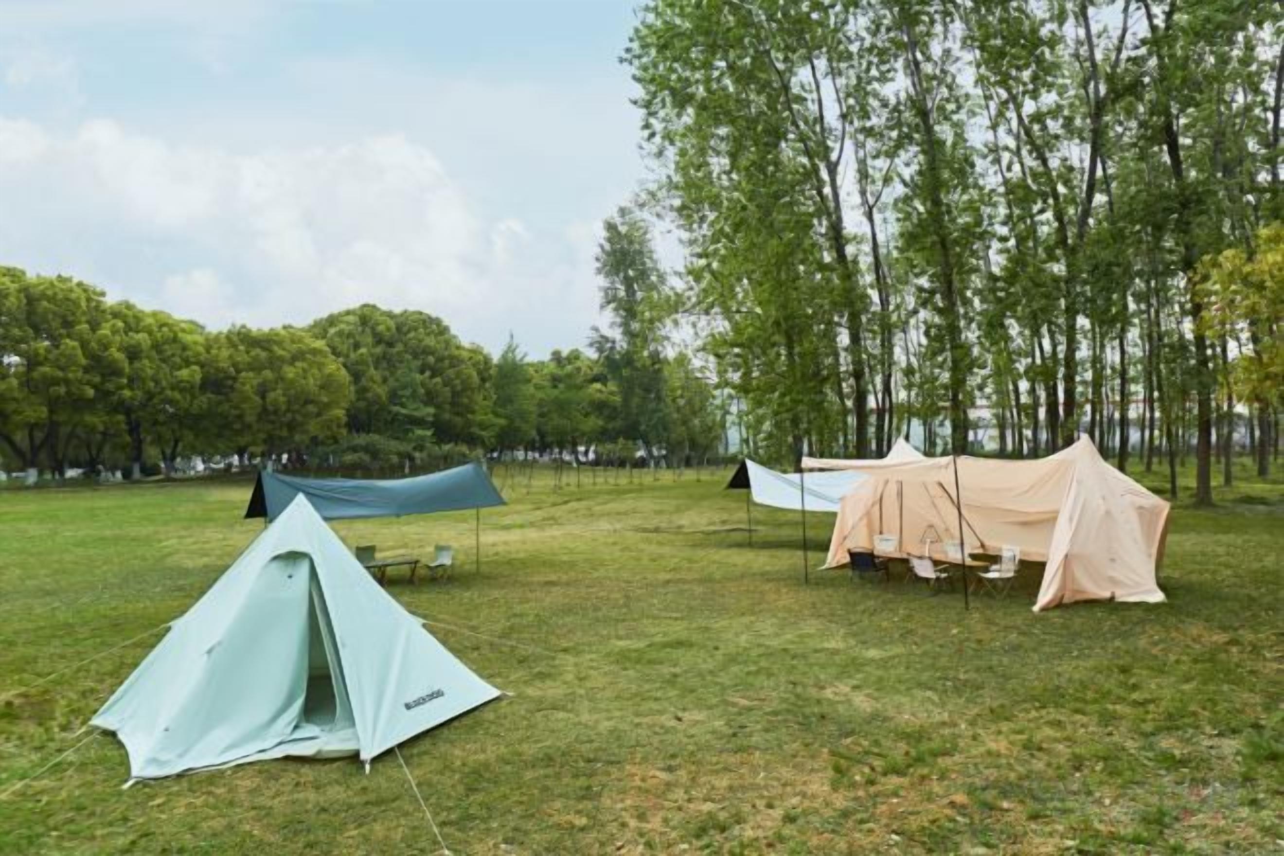 A grassy field with tents and a hammock.