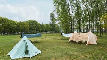 A grassy field with tents and a hammock.