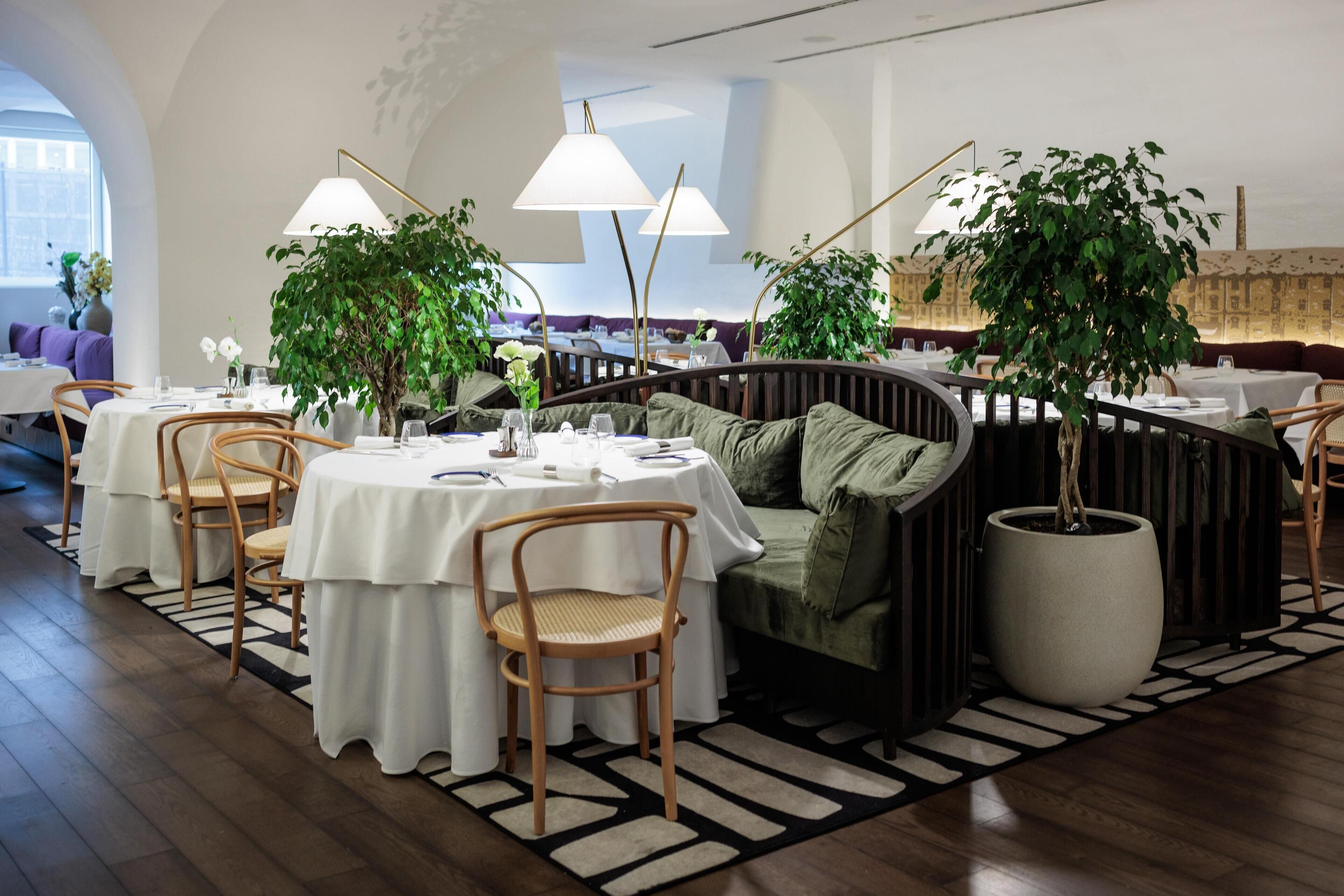 A restaurant with round tables, chairs, and potted plants.