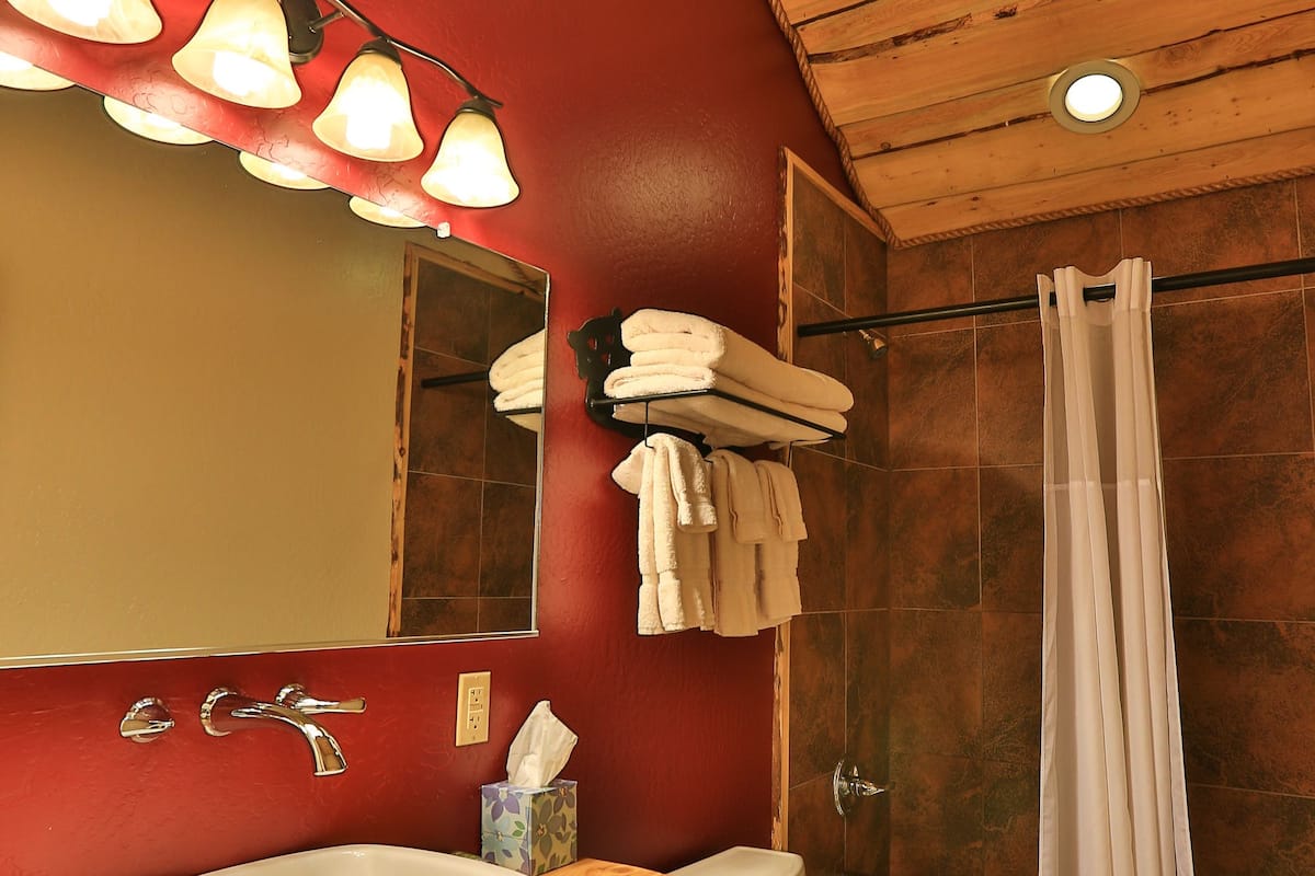 shower, free toiletries, hair dryer, towels