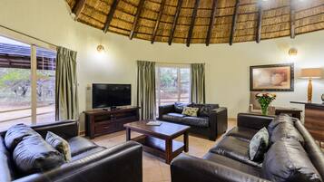 40-inch TV with satellite channels