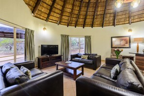 40-inch TV with satellite channels