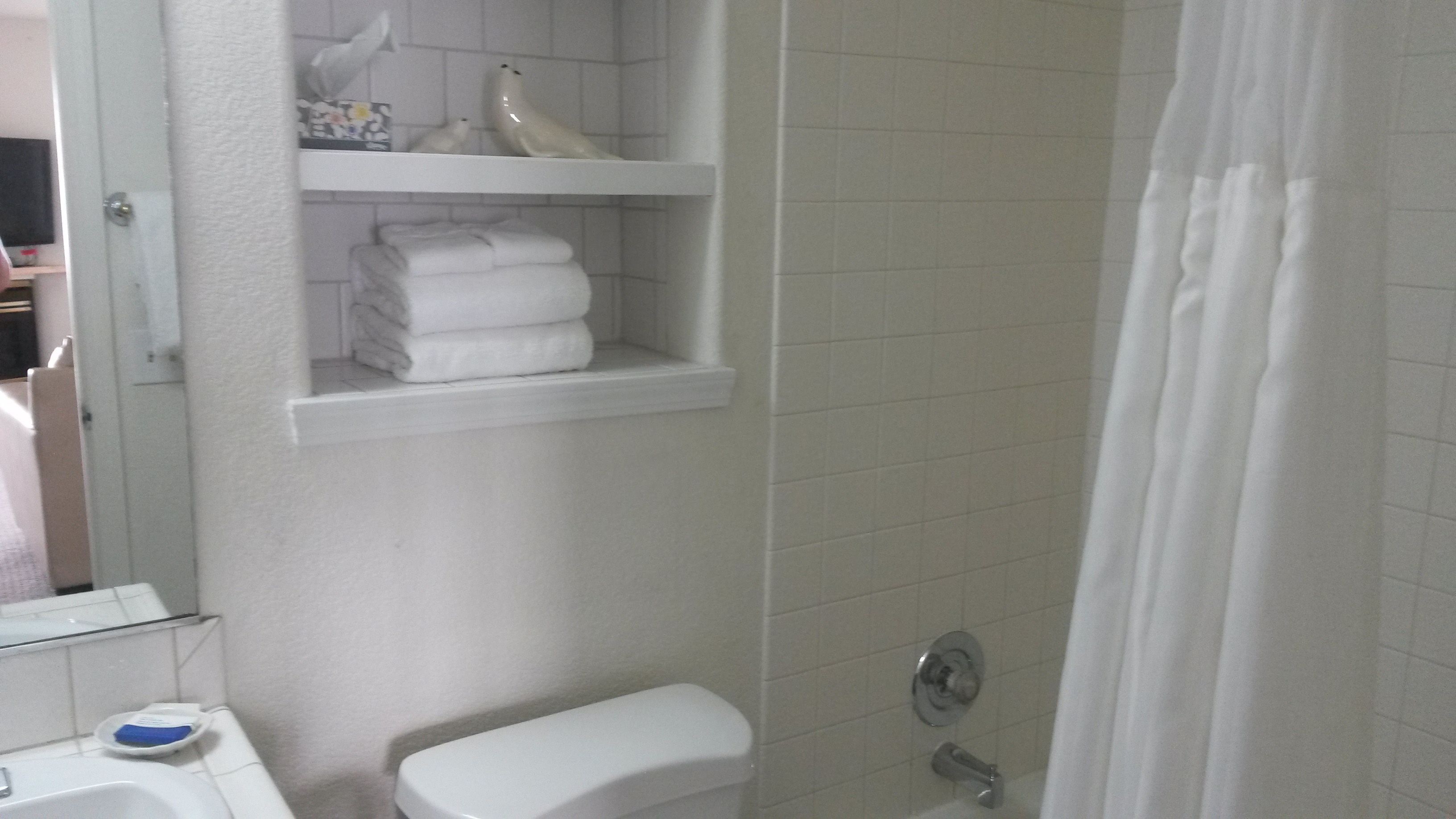 panoramic apartment, 1 bedroom, ocean view, oceanfront | bathroom | free toiletries, hair dryer, towels, soap
