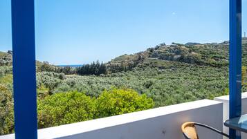 Departamento, 1 habitación, vista a la montaña | Vista del balcón