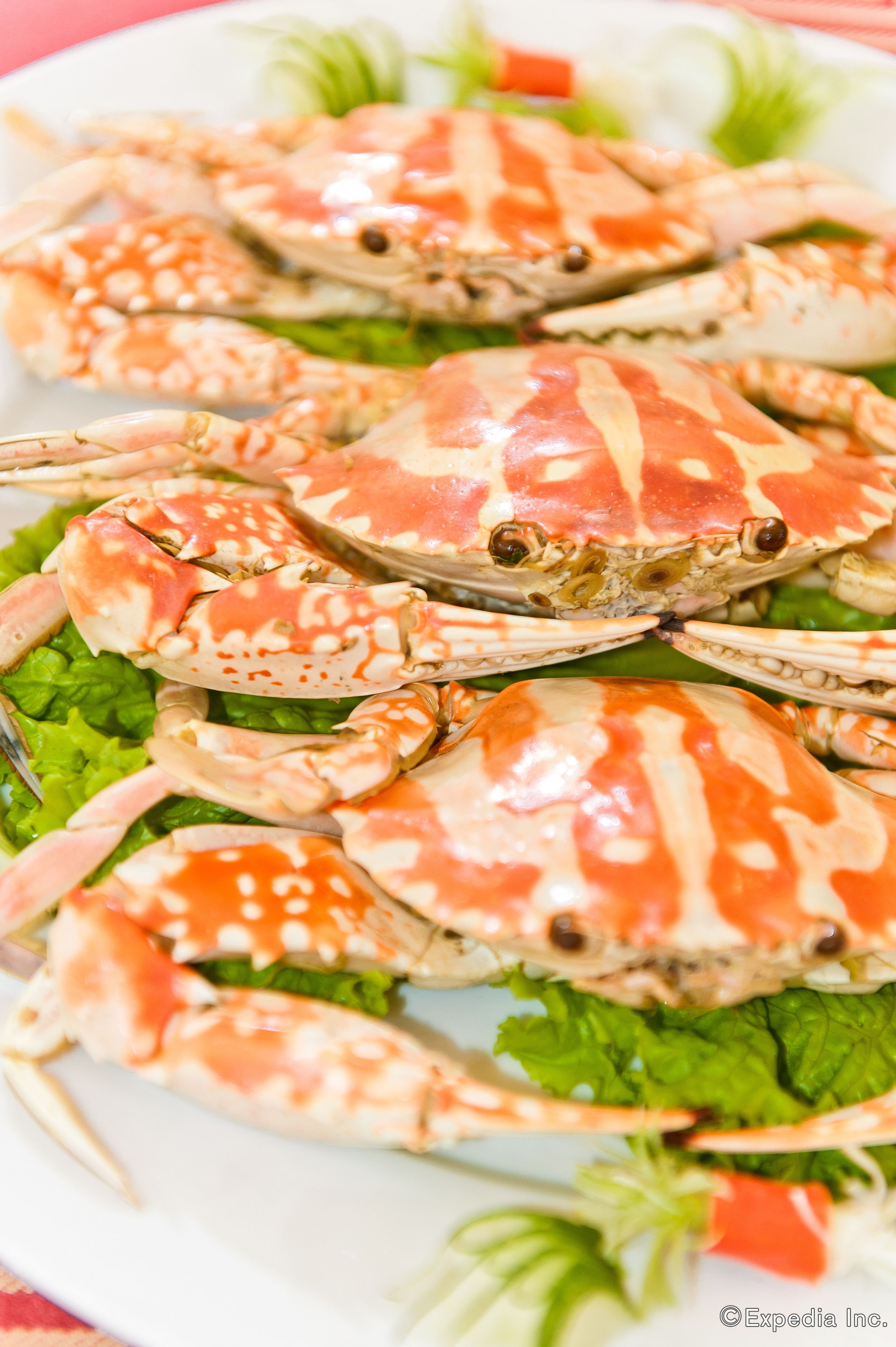 A plate of cooked crabs with green lettuce and red bell peppers.