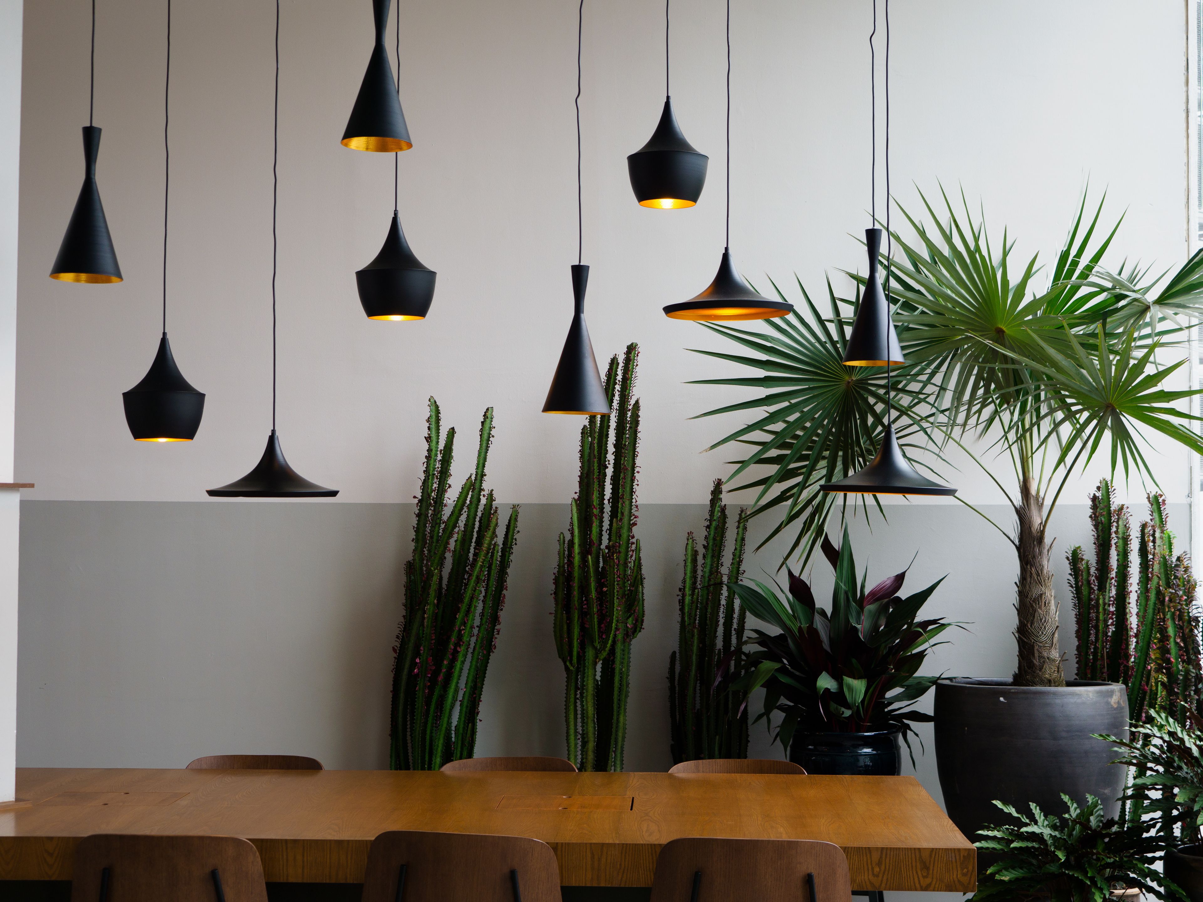 A dining area with a wooden table and chairs, multiple hanging pendant lights, and various potted plants including cacti and a palm tree.