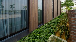 Ảnh chưa phân loại, 3 trong số 53 ảnh, nút