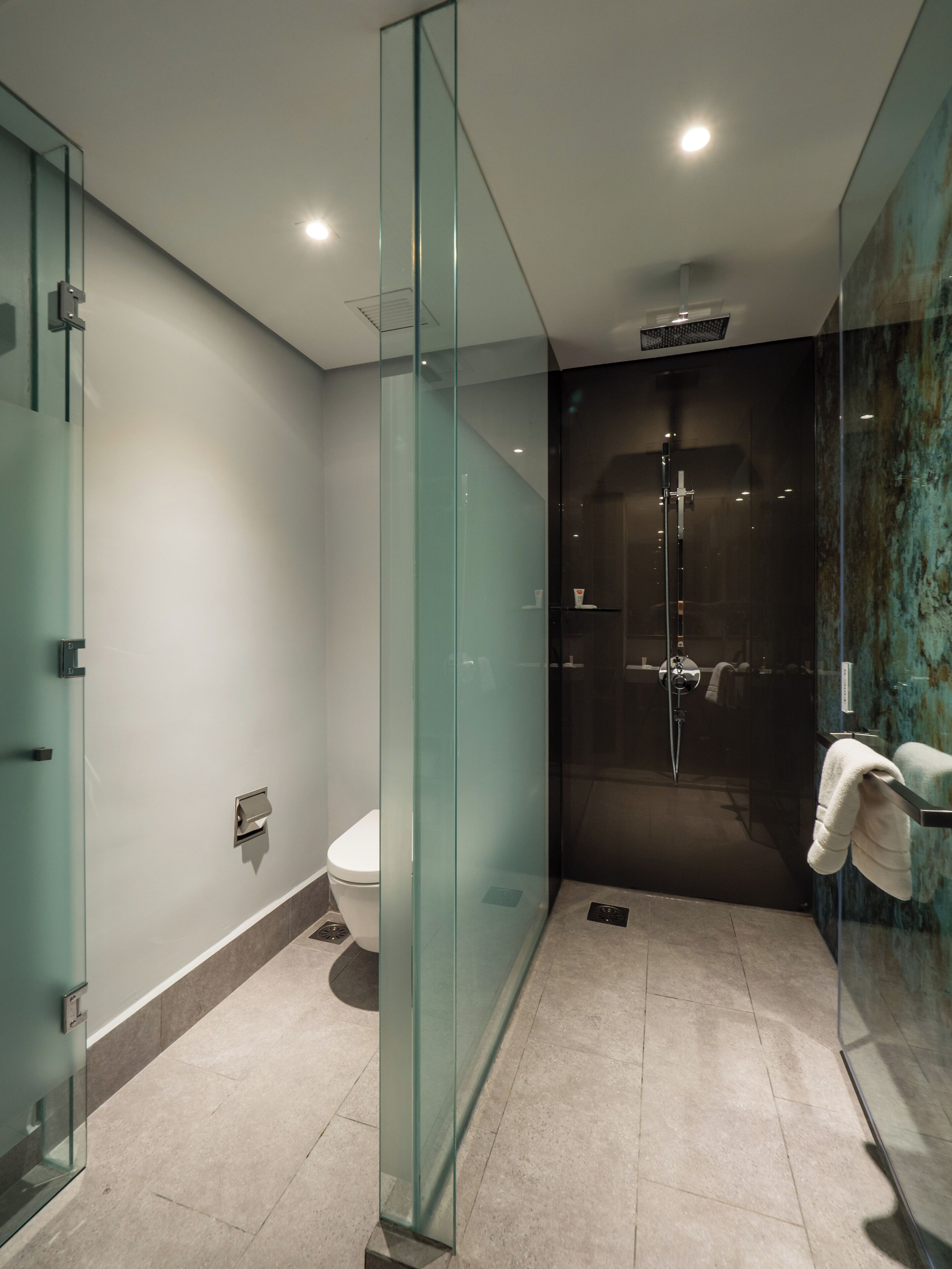 shower, rainfall showerhead, free toiletries, hair dryer