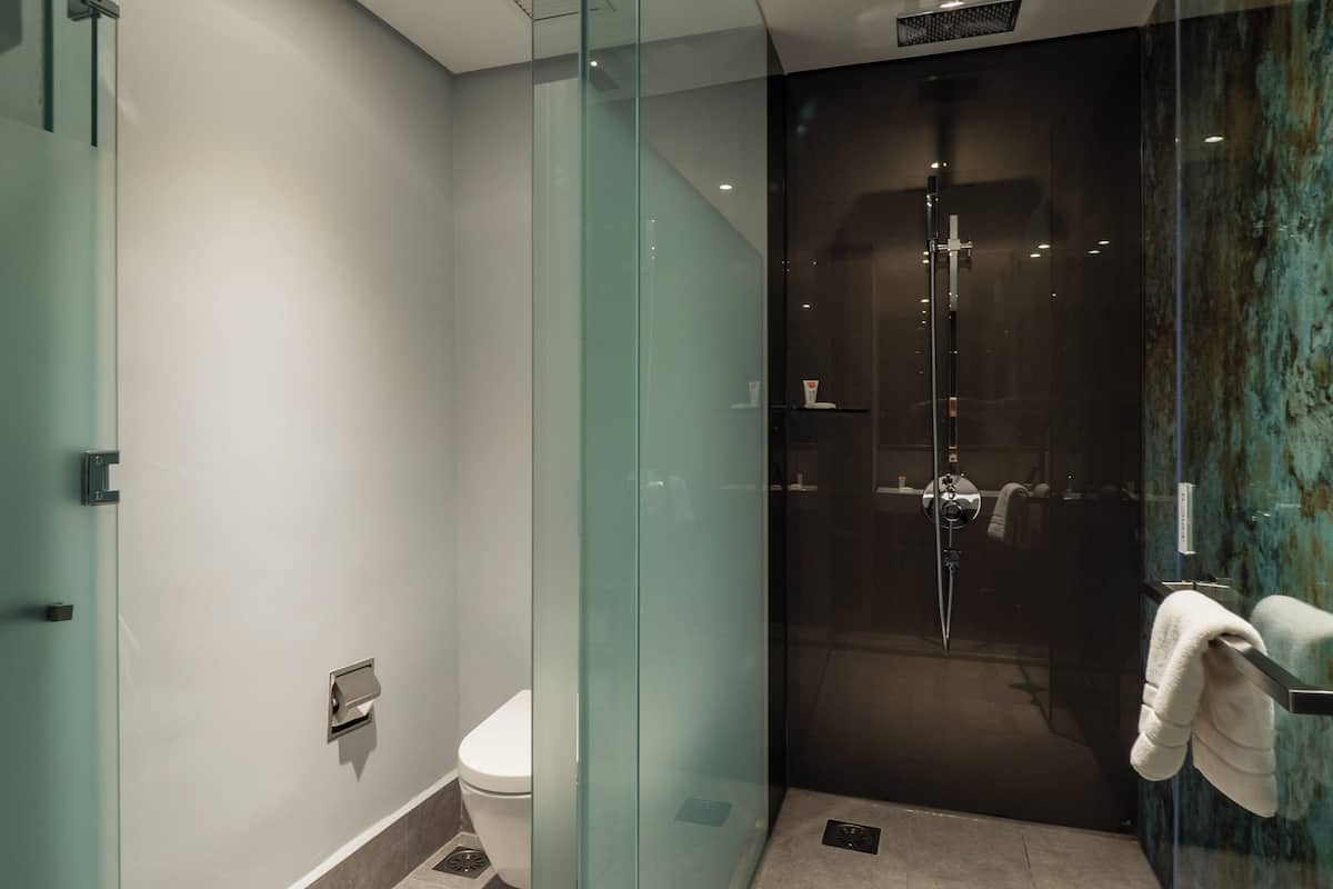 shower, rainfall showerhead, free toiletries, hair dryer