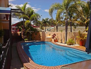 A swimming pool with a tiled edge, surrounded by palm trees and a fence.