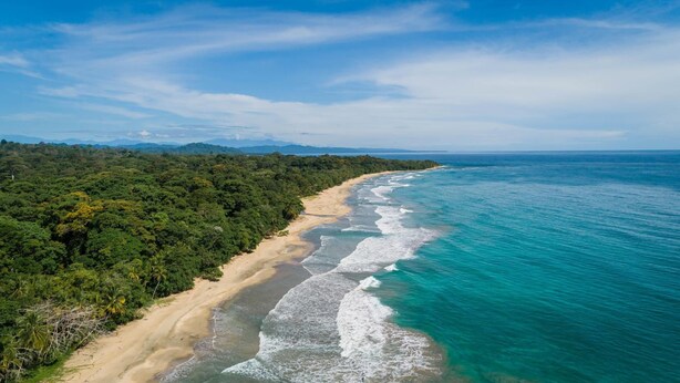 An aerial view of a beach with a long stretch of sandy shore and dense green vegetation on one side, and a calm sea on the other. - Almonds and Corals Boutique Hotel (Cahuita)