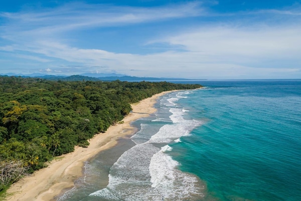 Am Strand, Strandtücher