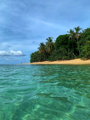 A clear view of a beach with turquoise water, palm trees, and a sandy shore. - Almonds and Corals Boutique Hotel (Cahuita)