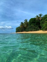 Una playa con vista despejada, agua turquesa, palmeras y una orilla arenosa.