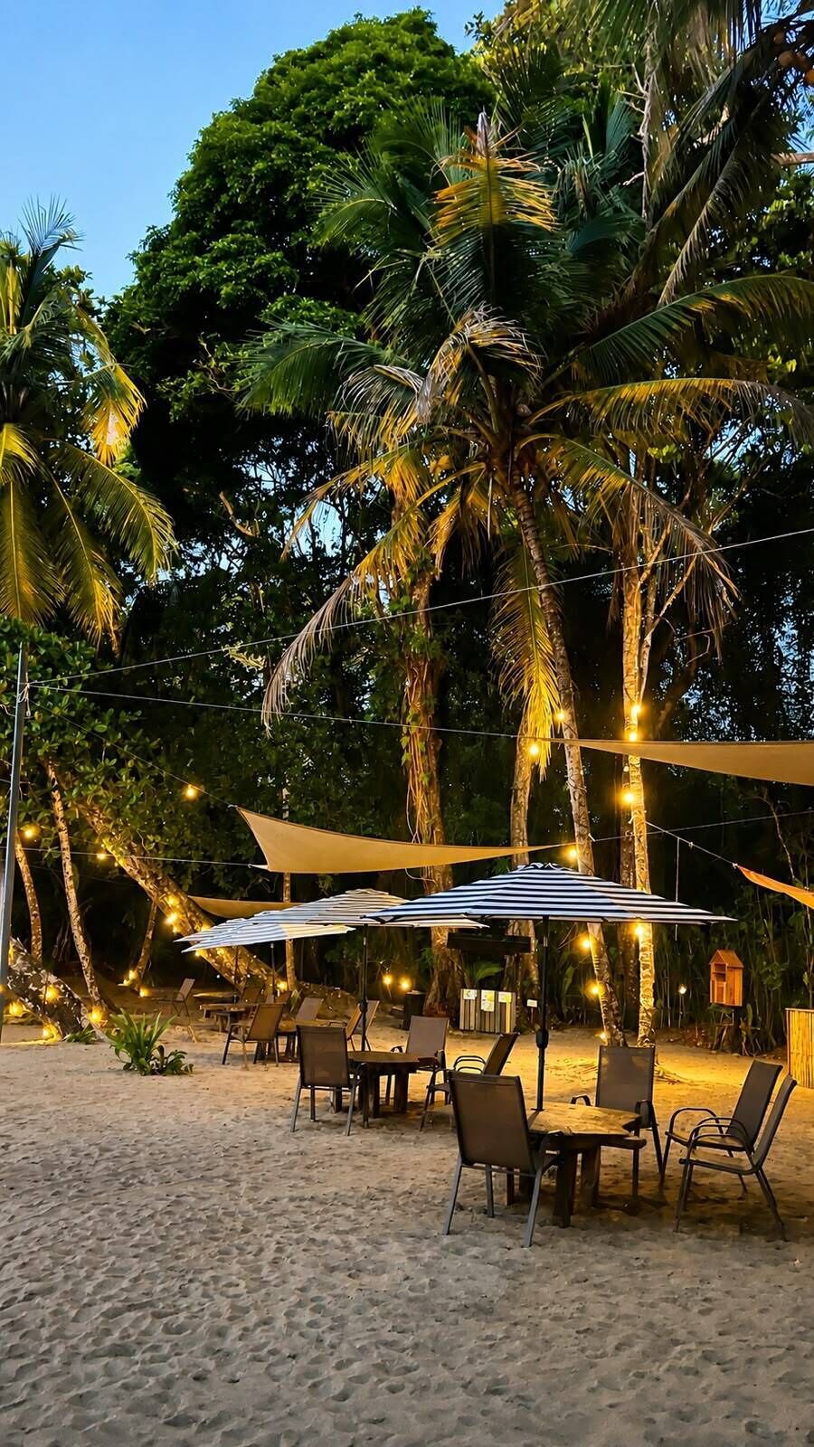 An outdoor seating area with tables and chairs, surrounded by palm trees and string lights.