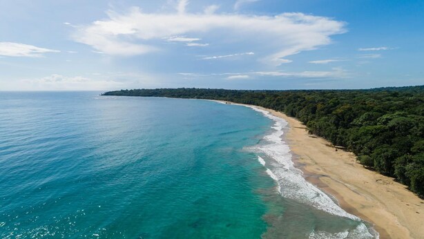 A coastal landscape with a sandy beach and dense forest. - Almonds and Corals Boutique Hotel (Cahuita)