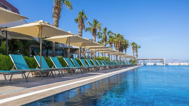 Un espace aménagé au bord de la piscine, avec des chaises longues et des parasols, des palmiers et un ciel d’un bleu limpide.