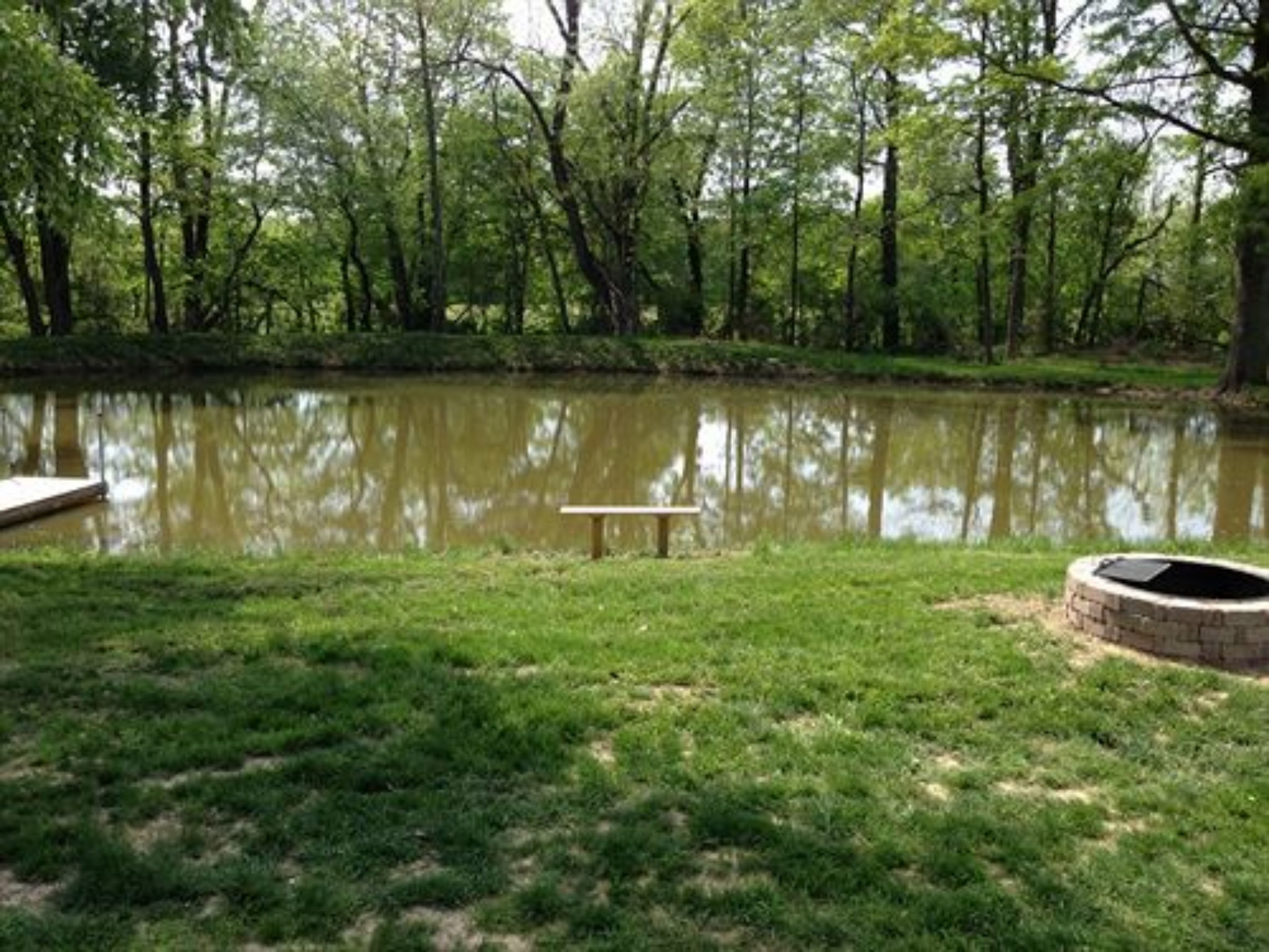 A grassy area with a pond, a bench, and a fire pit.