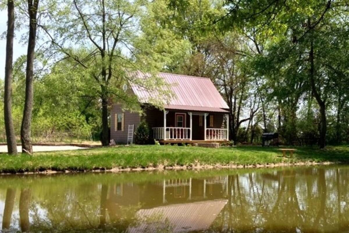 A cabin by a pond with a metal roof, surrounded by trees.