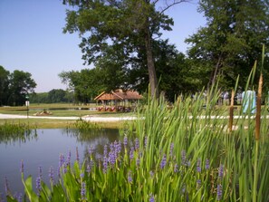 View from property - Pleasant Grove Farm LLC (Linton)