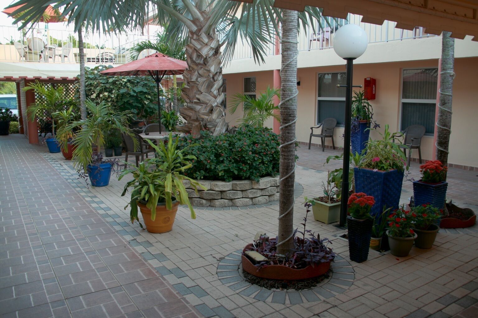 An outdoor patio area with potted plants, a palm tree, and outdoor seating.