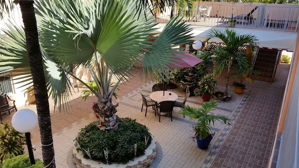 Un'area patio all'aperto con un tavolo rotondo e sedie, circondata da piante in vaso e una palma.